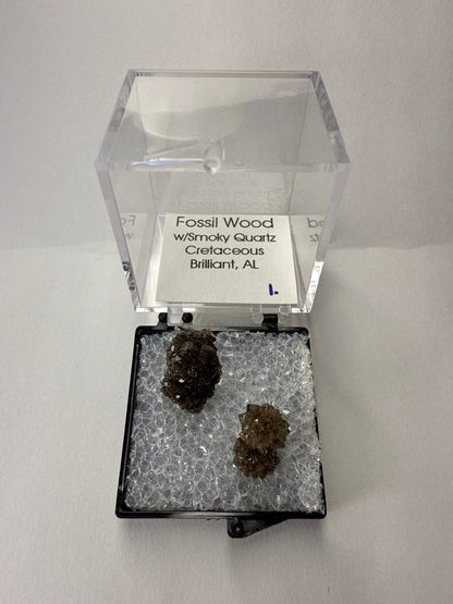 Boxed Mineral Specimen